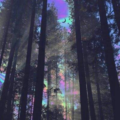 我在江湖之轮回诀新版本下载